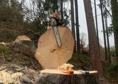 Palivové dřevo Karlovarský kraj